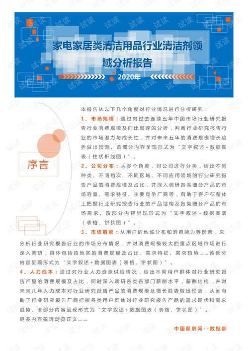 2020年家電與家居清潔用品行業(yè)清潔劑領(lǐng)域市場分析報(bào)告